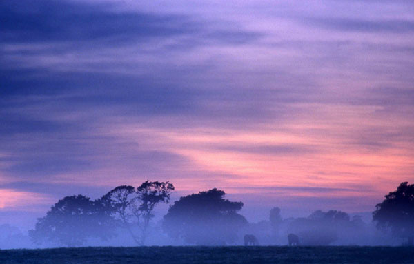 First light at Hassocks